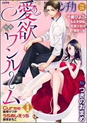 Ｖｏｌ．０２６愛欲ワンルーム