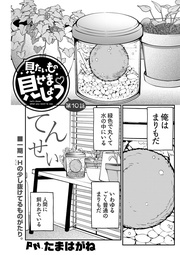 見たいもの見せましょう 第10話 〈連載版〉 転生まりもが見てる！