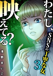 #SNSの丁寧な女(3)