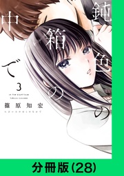 鈍色の箱の中で【分冊版(28)】