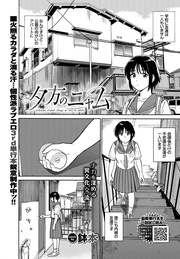 夕方のニャム