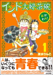 インド夫婦茶碗 おかわり！