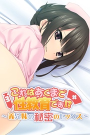 これはあくまで性教育です!? ~義兄妹の秘密のセックス~