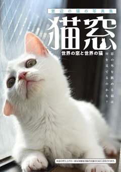 猫窓