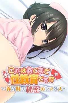 これはあくまで性教育です!? ~義兄妹の秘密のセックス~